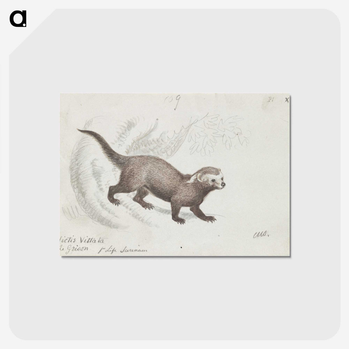 1-56_Charles-Hamilton-Smith_postcard