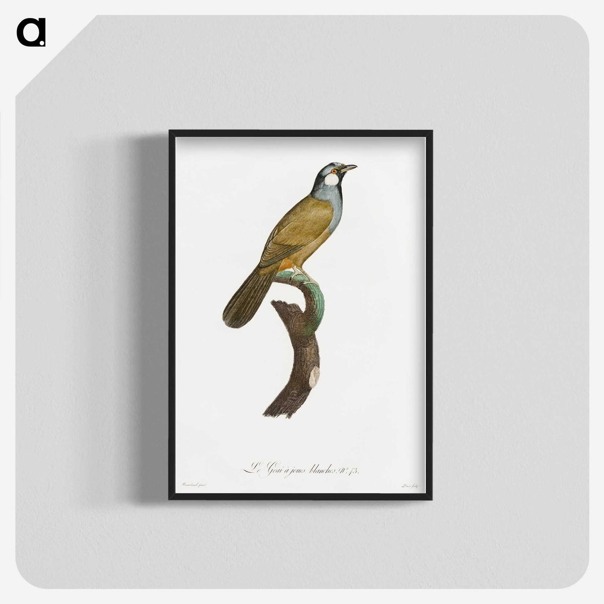 1-56_Des-Oiseaux-de-Paradis_blk-crop