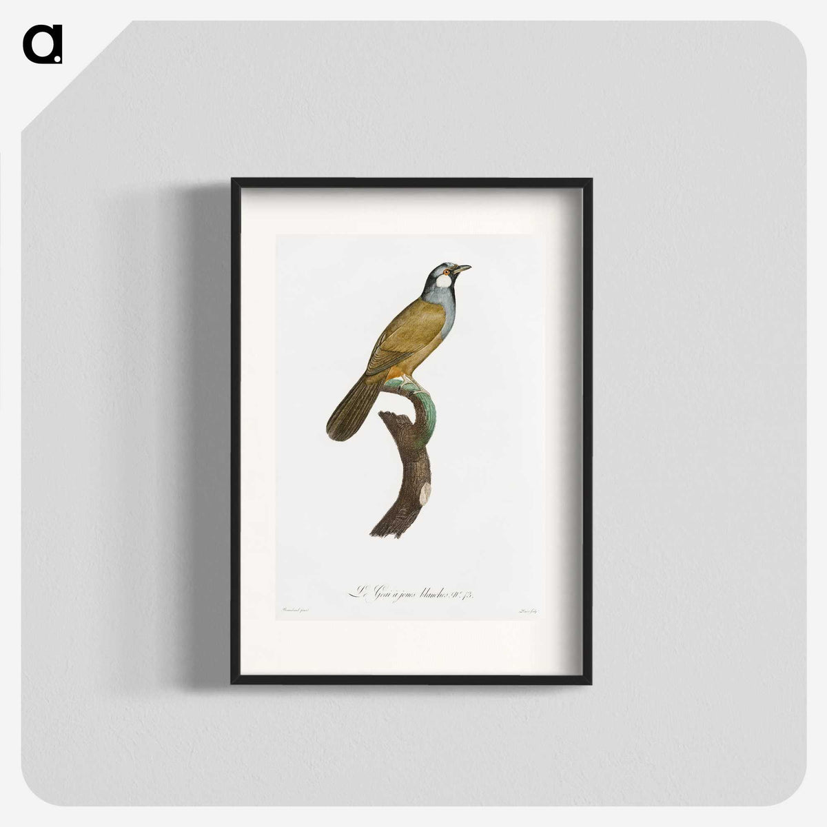 1-56_Des-Oiseaux-de-Paradis_blk