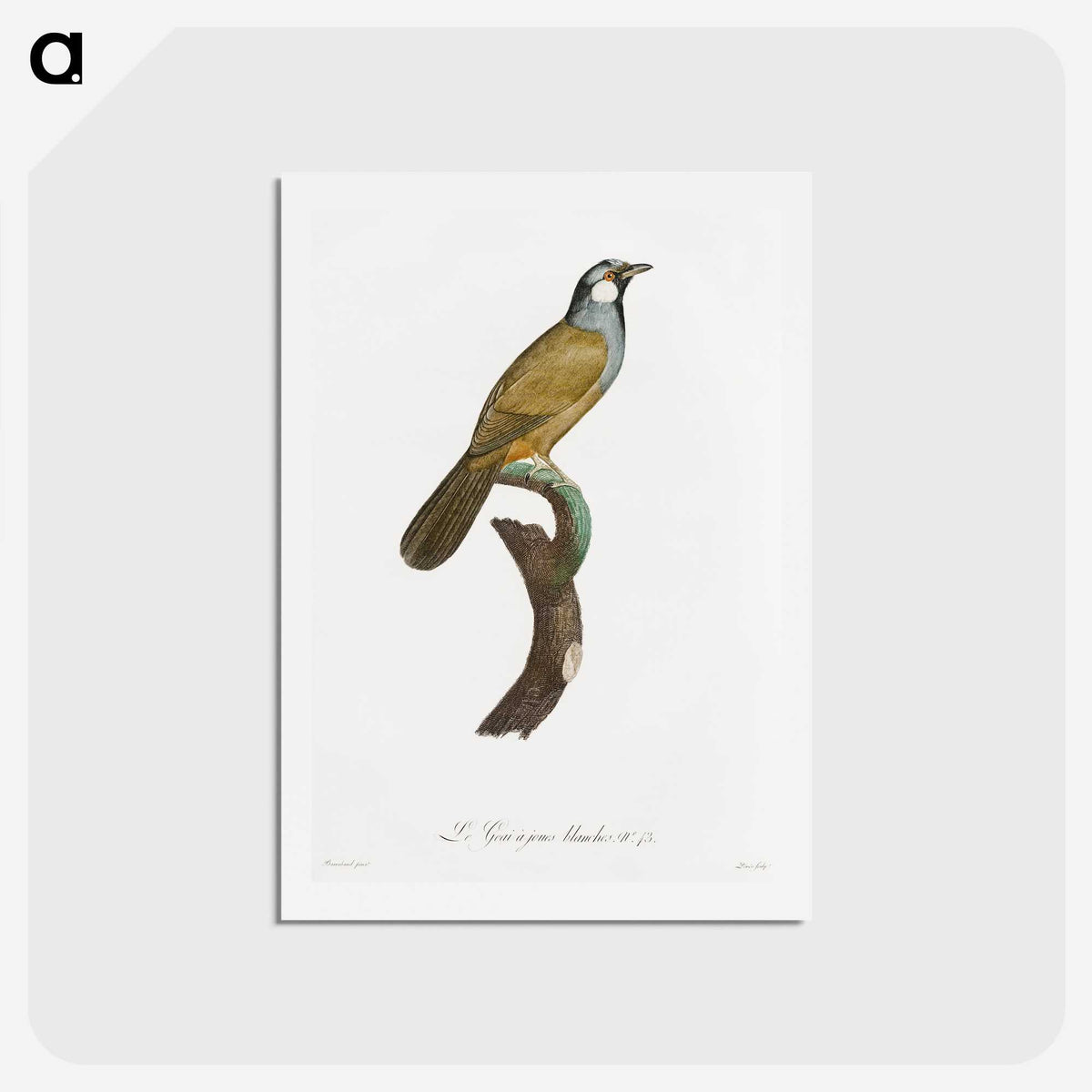 1-56_Des-Oiseaux-de-Paradis_hagaki
