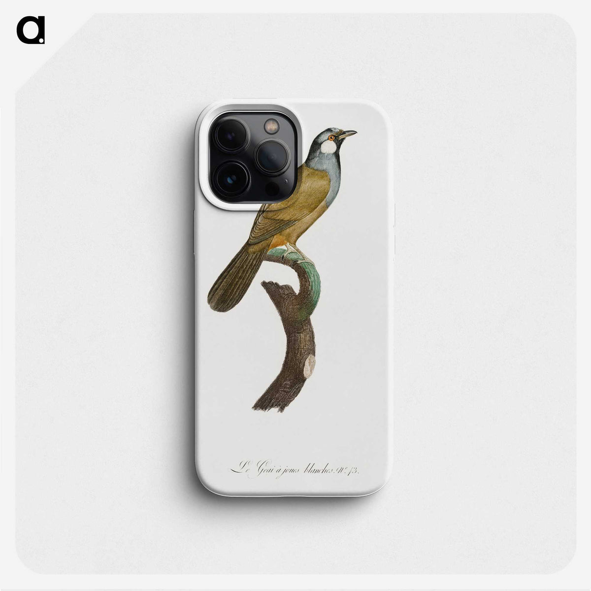 1-56_Des-Oiseaux-de-Paradis_phone