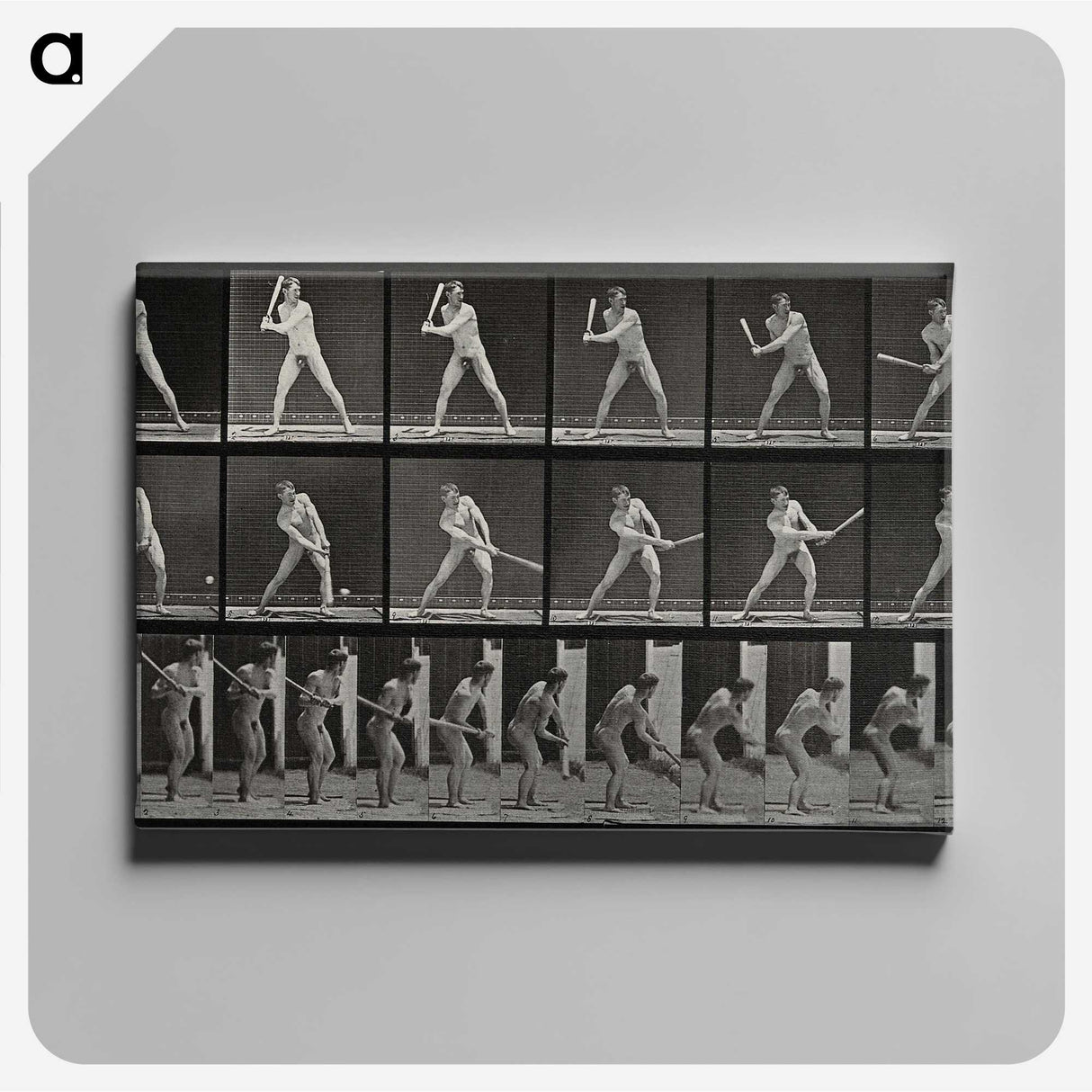 1-56_Eadweard-Muybridge_canvas