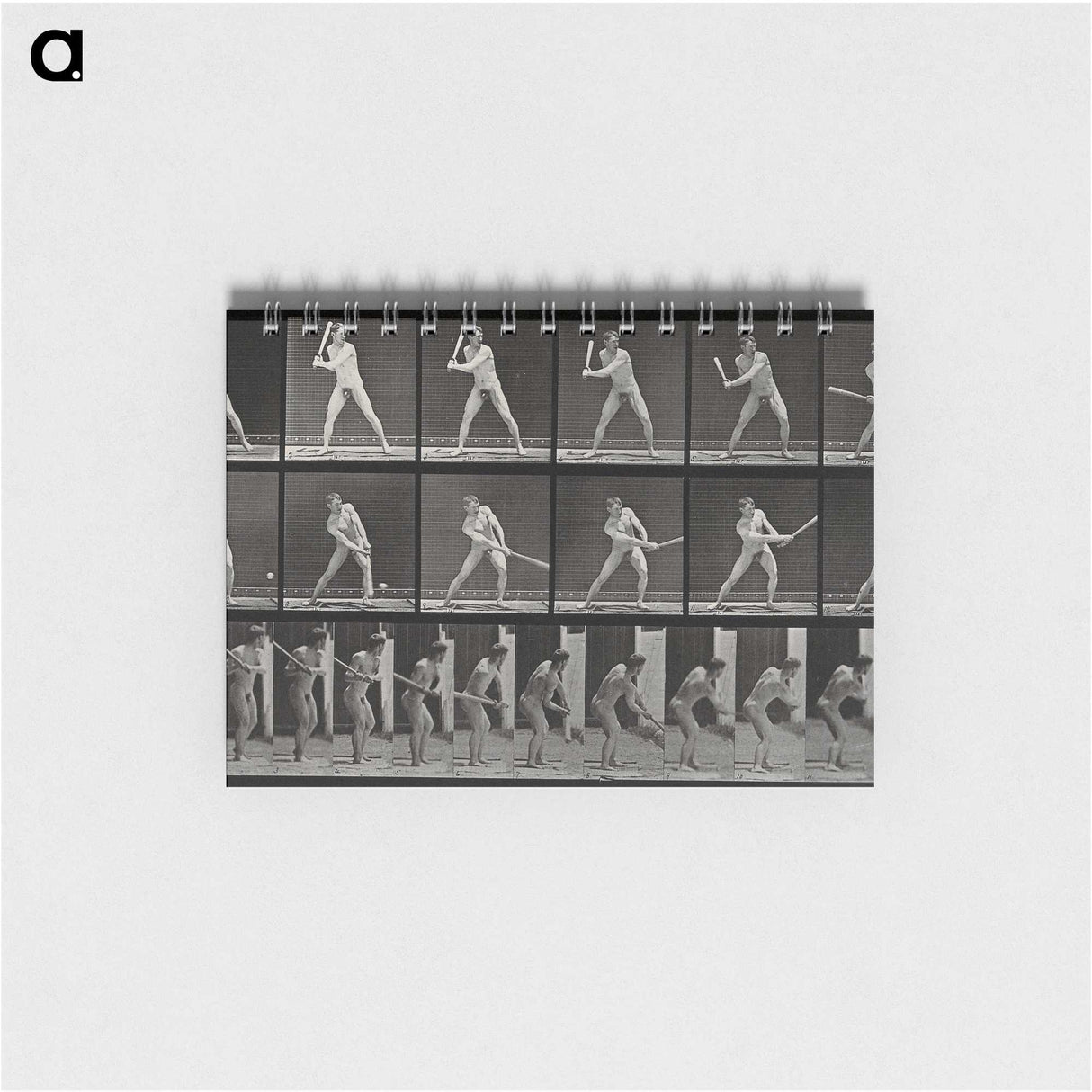 1-56_Eadweard-Muybridge_memo