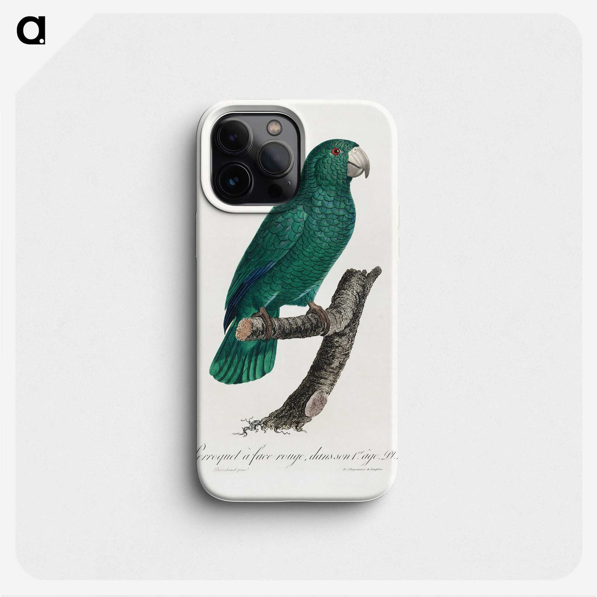 1-56_Francois-Levaillant_phone
