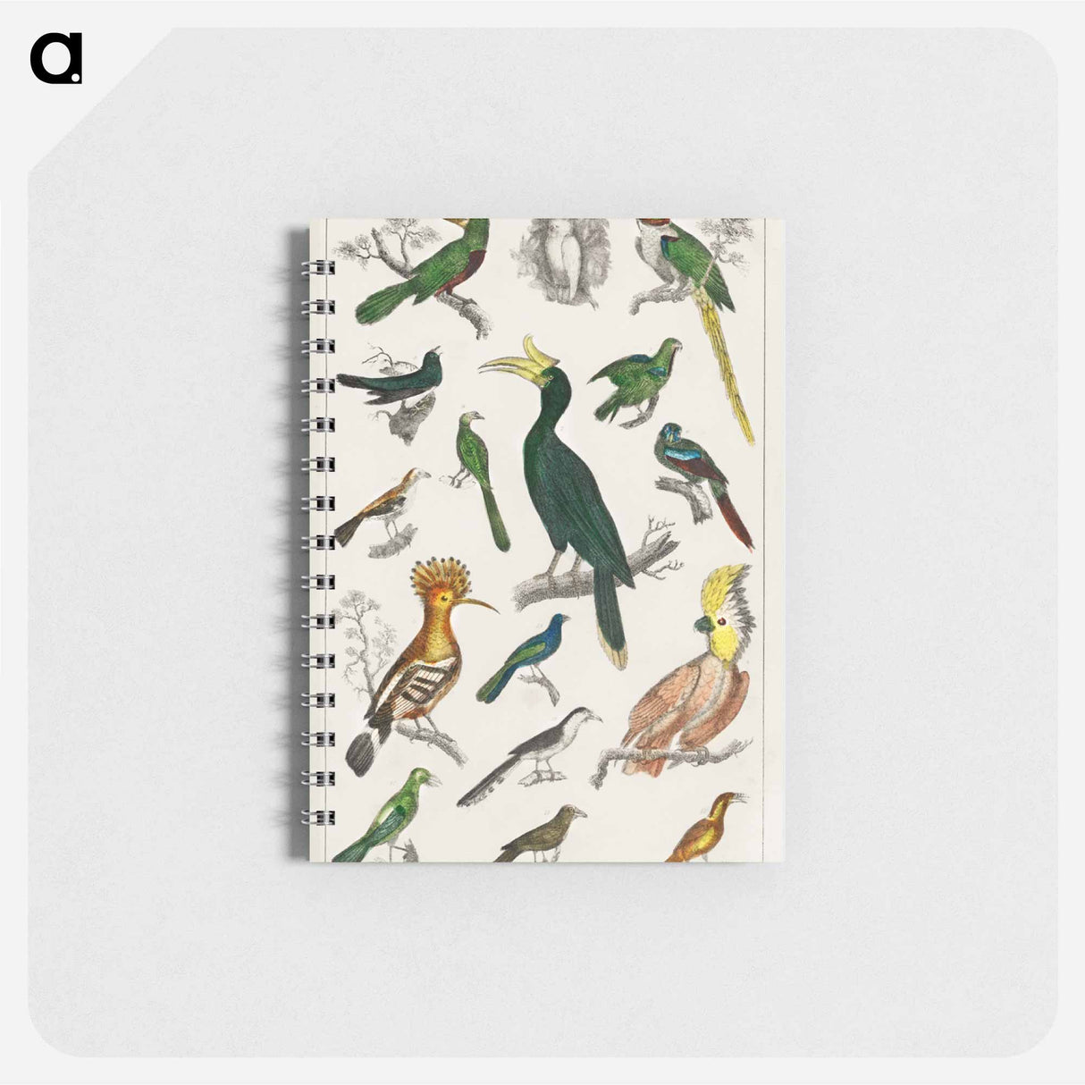 アートメモ帳-Birds from Animated Nature
- ゴールドスミスの生き生きとした自然 Memo.
