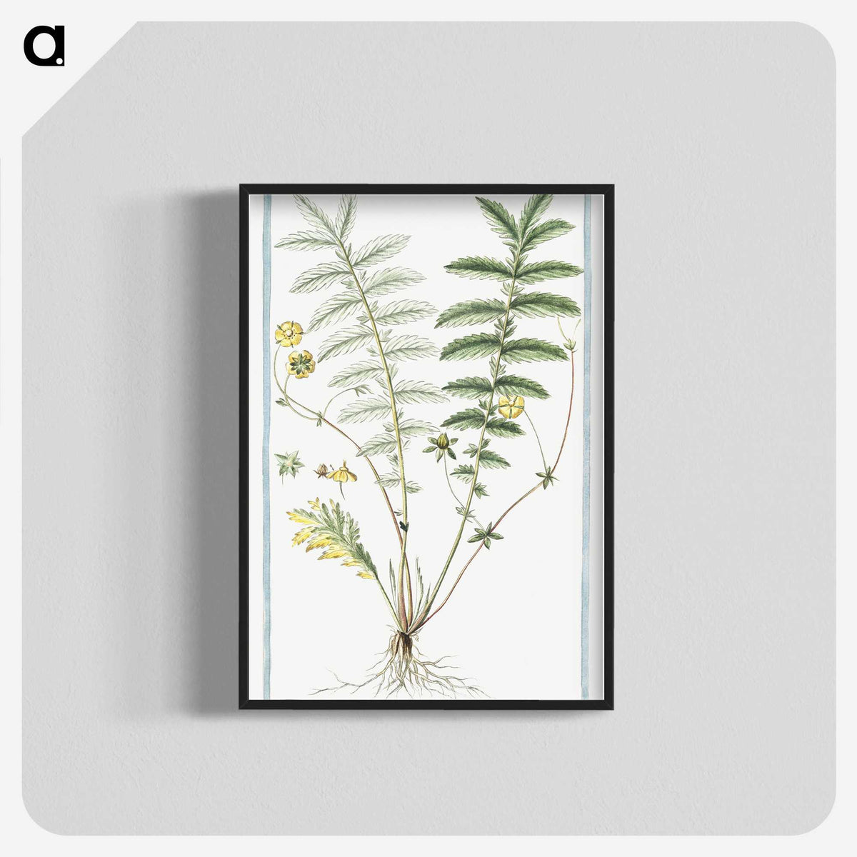 1-56_Hortus-Romanus-Botanical-Plates_blk-crop