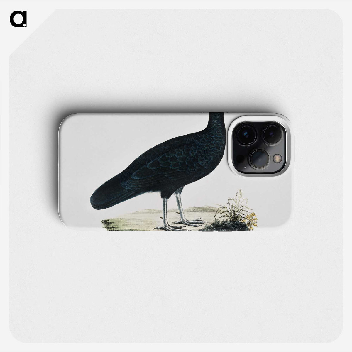 1-56_Indian-Zoology_phone