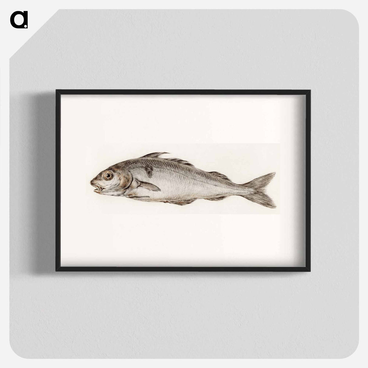 Fish - ジャン ベルナール Poster.