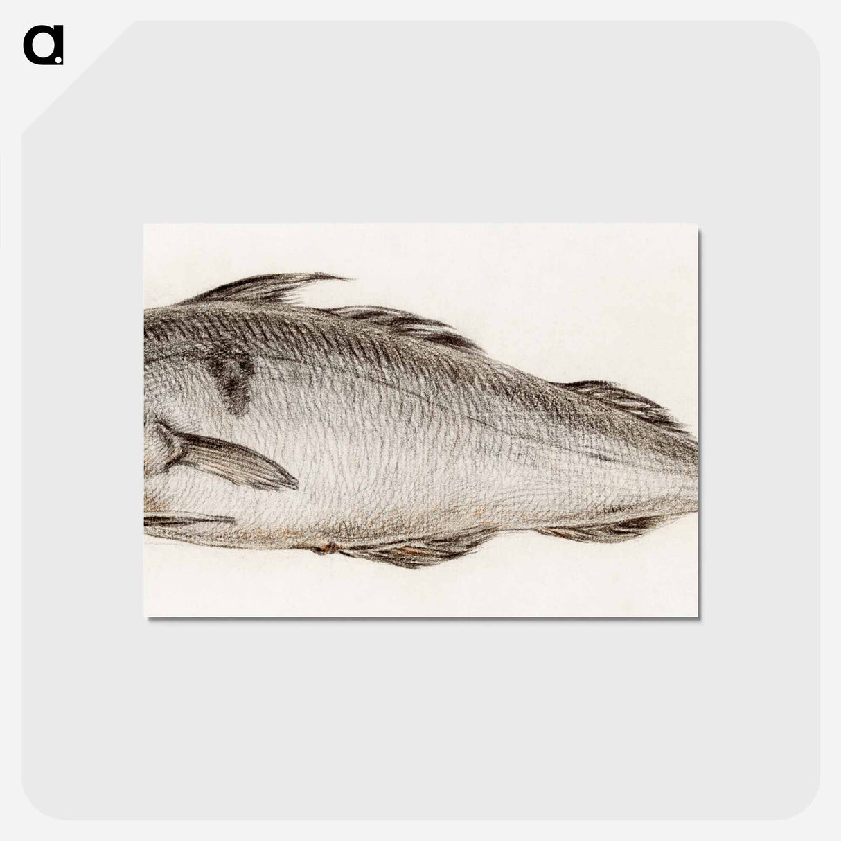 アートポストカード-Fish - ジャン ベルナール Postcard.