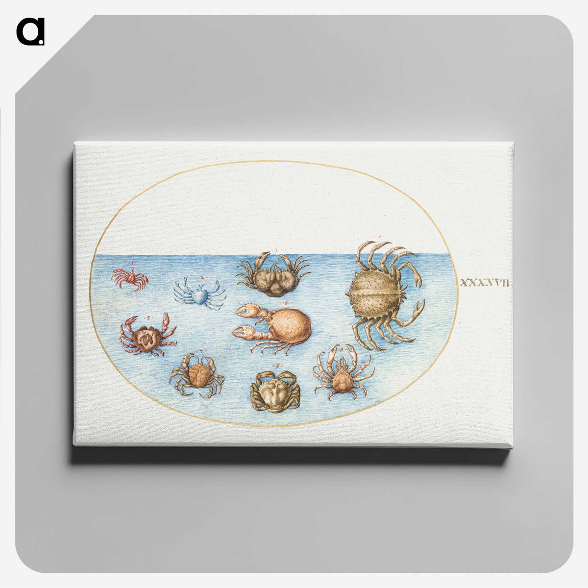 1-56_Joris-Hoefnagel_canvas