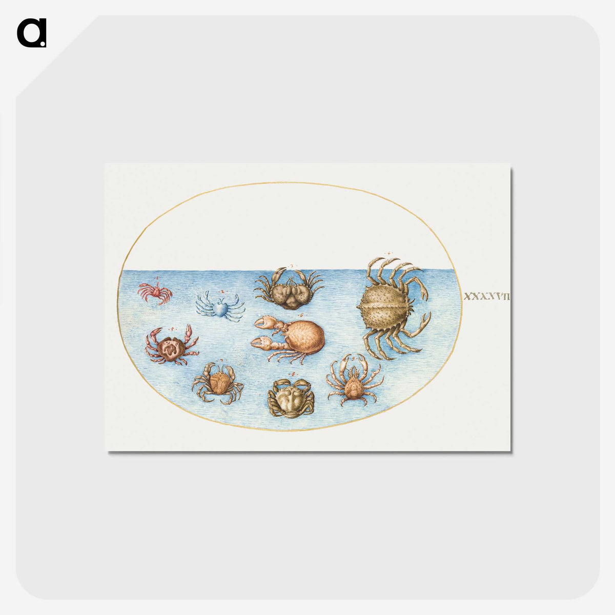 1-56_Joris-Hoefnagel_postcard