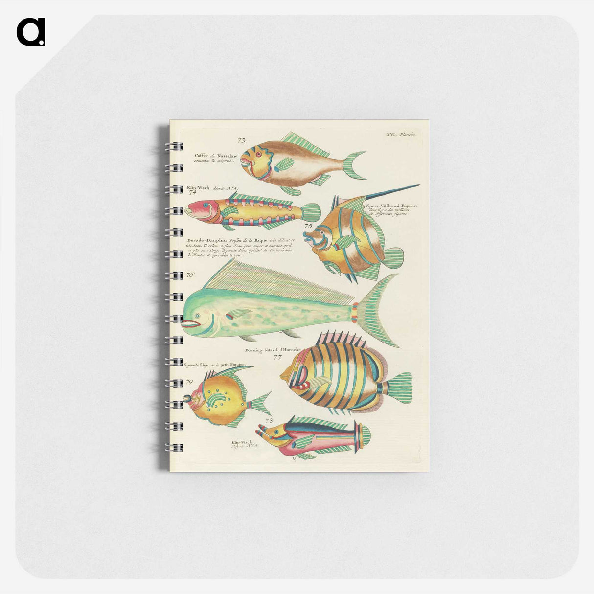 1-56_Louis-Renard_memo