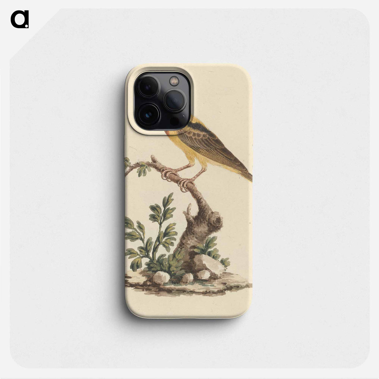 Oriolus monacha
- ルイージ バルガーニ Phone Case.