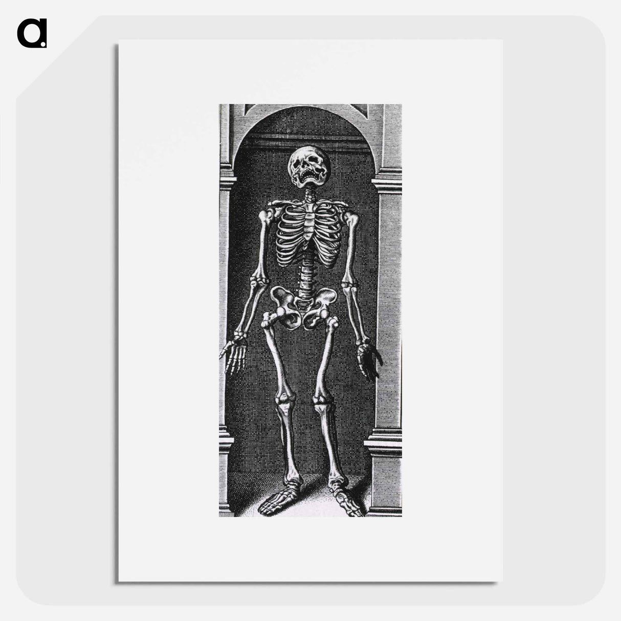 アートポスター-Skeleton Standing in a Small Alcove
- 国立医学図書館 Poster.