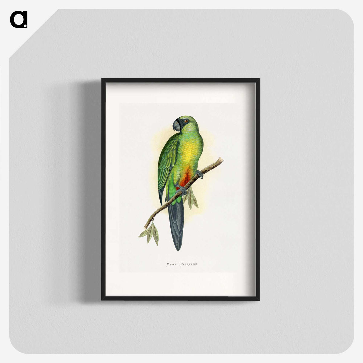 1-56_Parrots-in-Captivity_blk