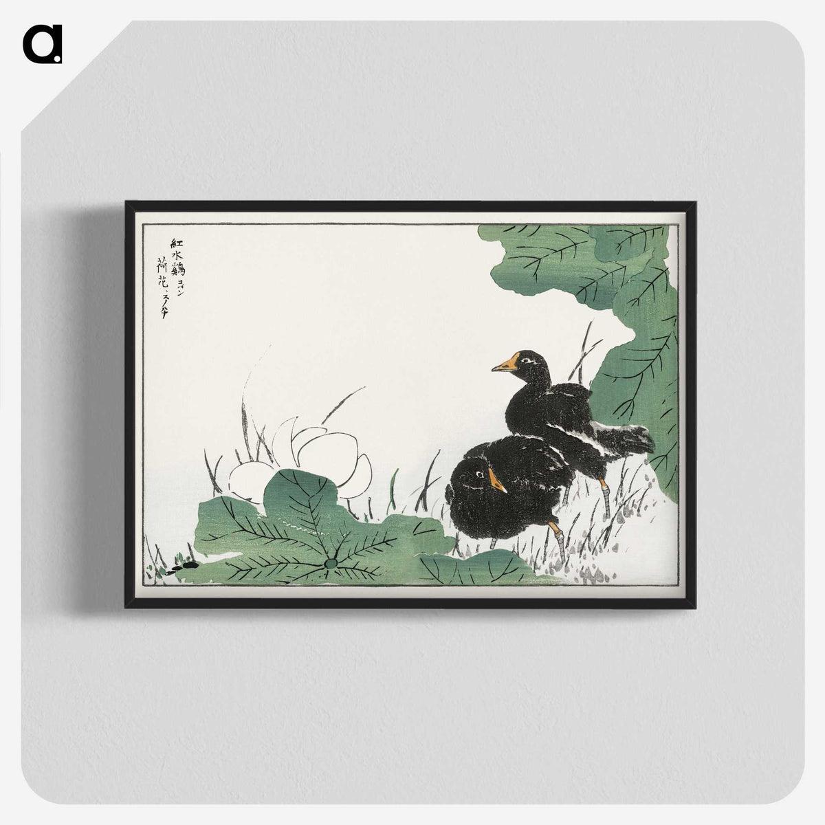 1-56_Pictorial-Monograph-of-Birds_blk-crop