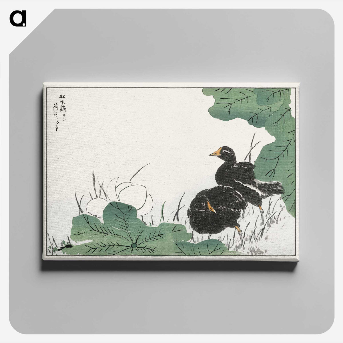 1-56_Pictorial-Monograph-of-Birds_canvas