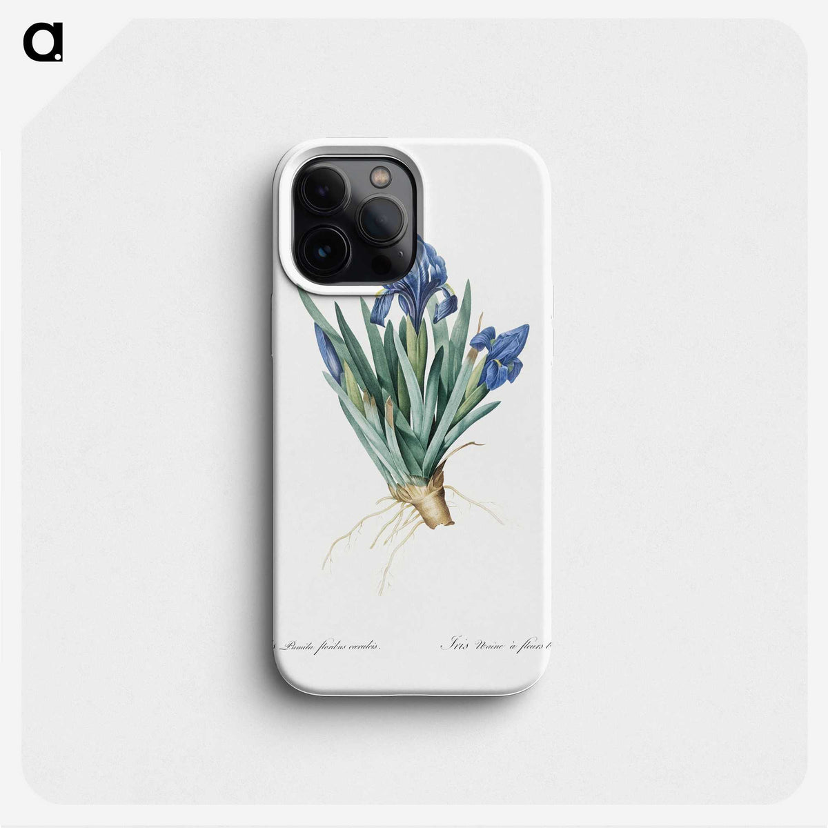1-56_The-Lilies_phone