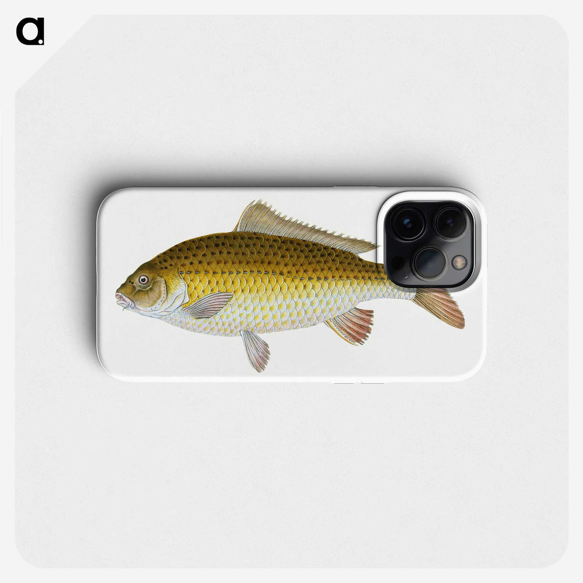 1-56_The-Natural-History-of-British-Fishes_phone
