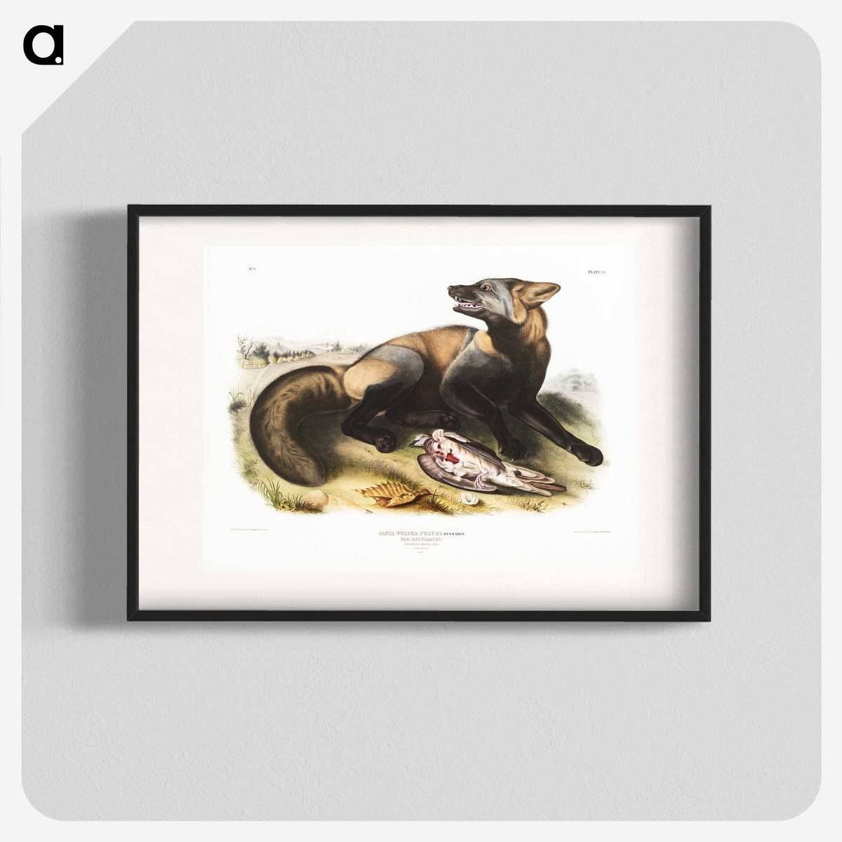 1-56_The-Viviparous-Quadrupeds_blk