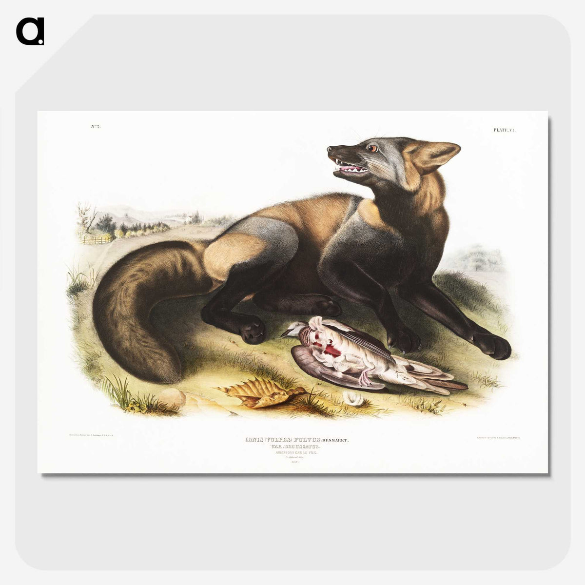 1-56_The-Viviparous-Quadrupeds_picture-crop