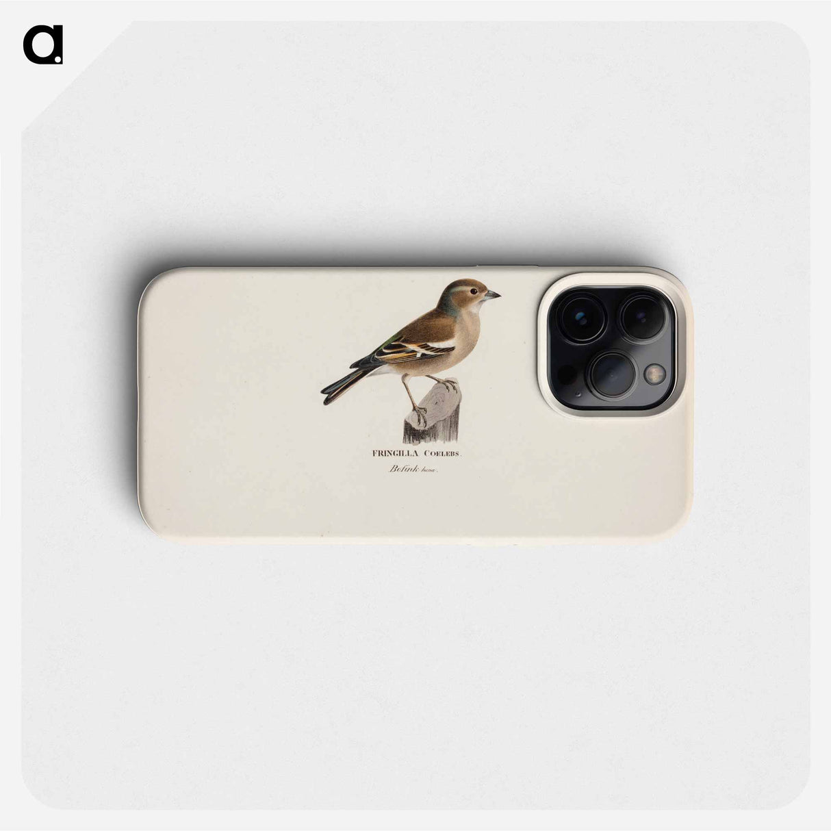 Female chaffinch - Wilhelm von Wright Phone Case.