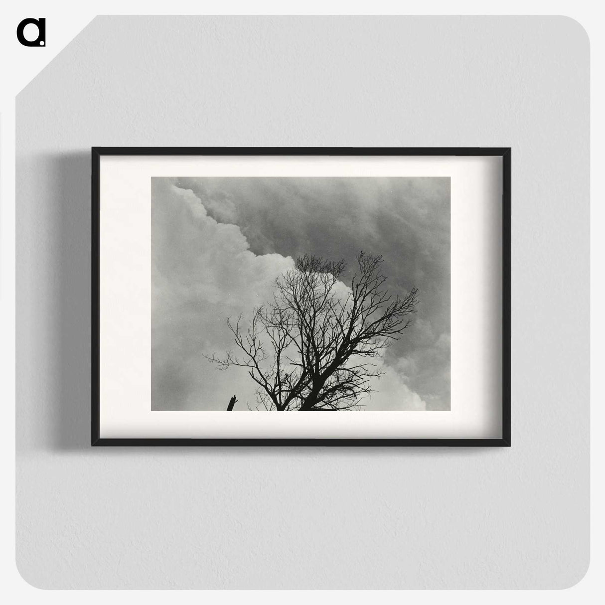1-57_Alfred-Stieglitz_blk