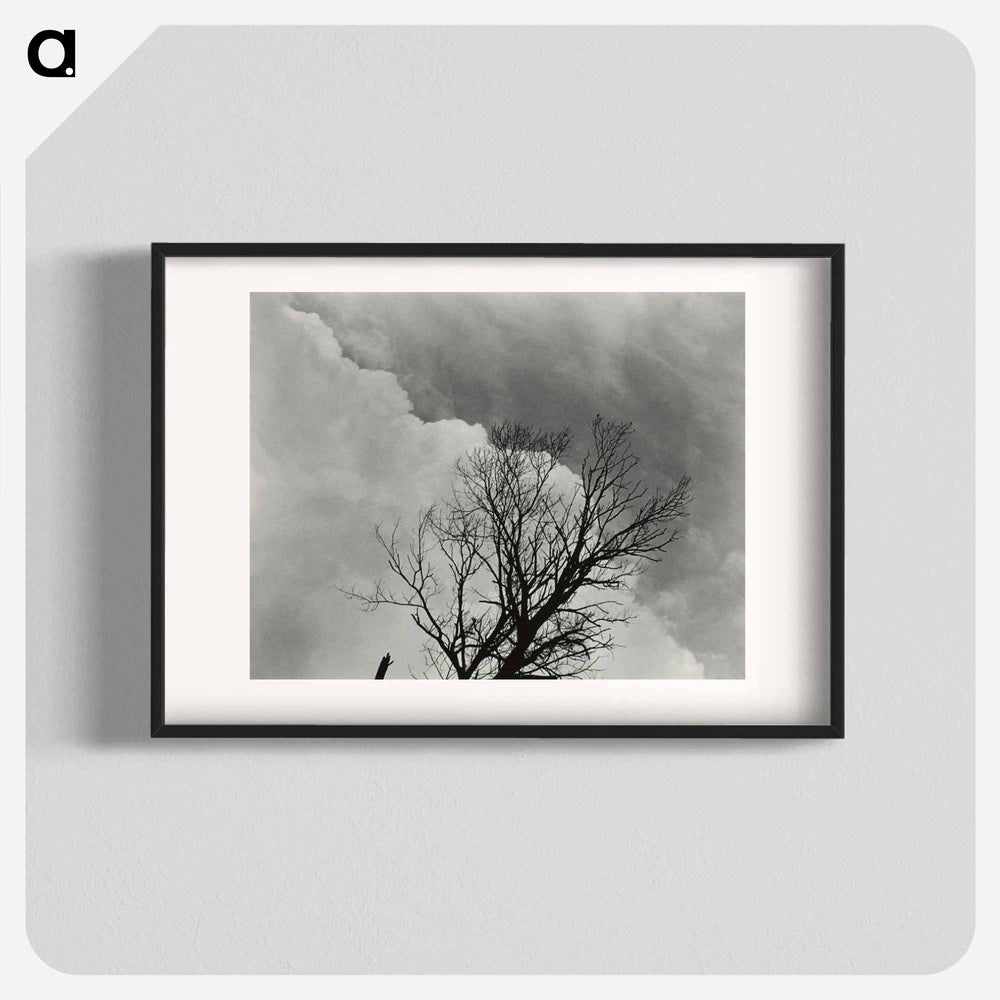 Tree Set 3 - アルフレッド スティーグリッツ Poster.