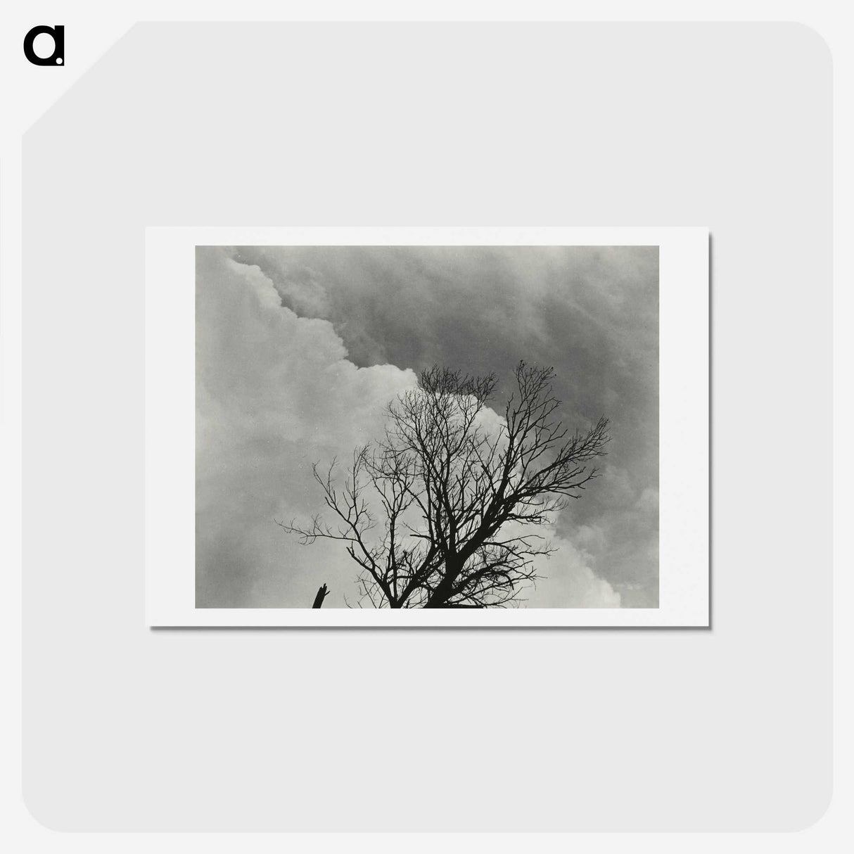 1-57_Alfred-Stieglitz_hagaki