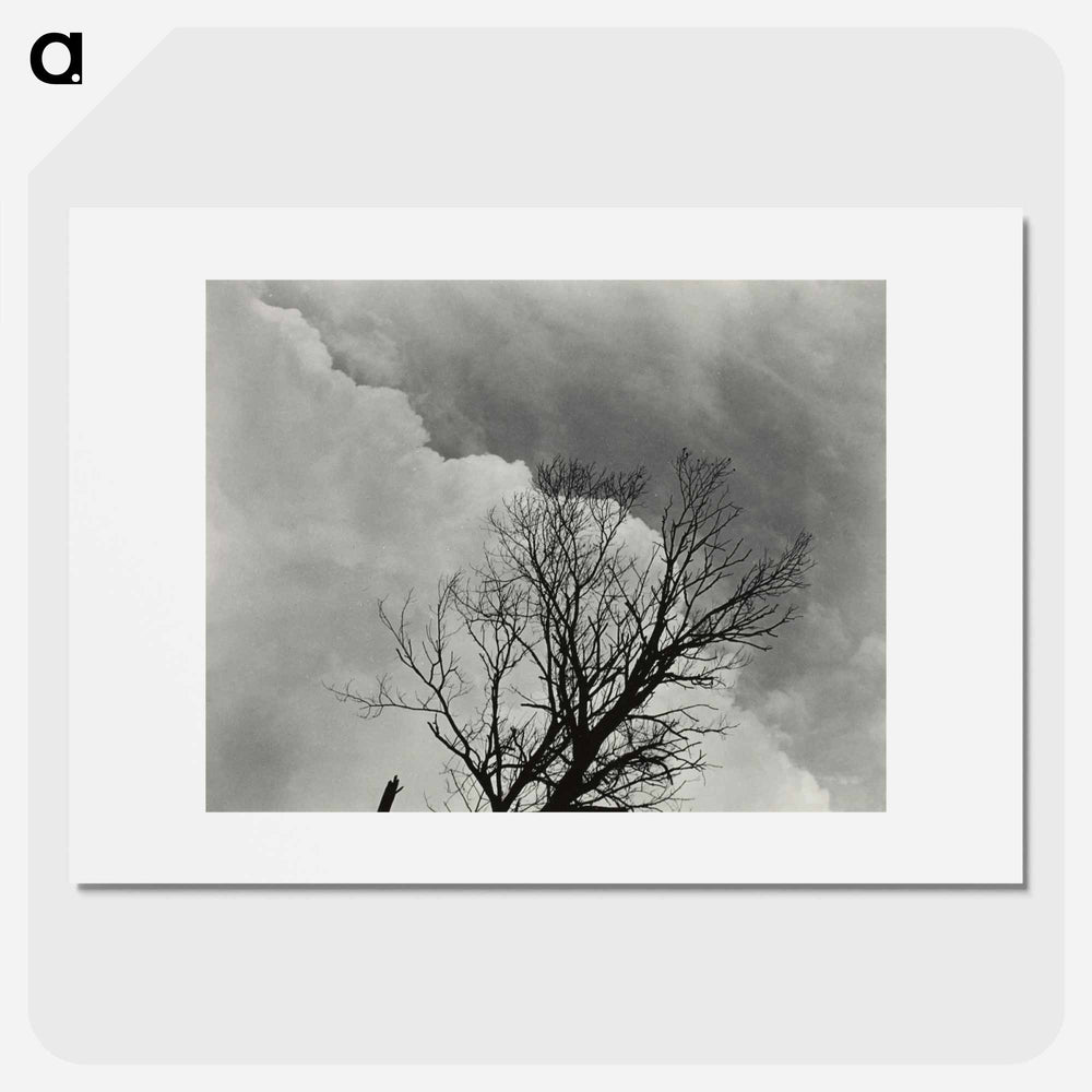 Tree Set 3 - アルフレッド スティーグリッツ Poster.