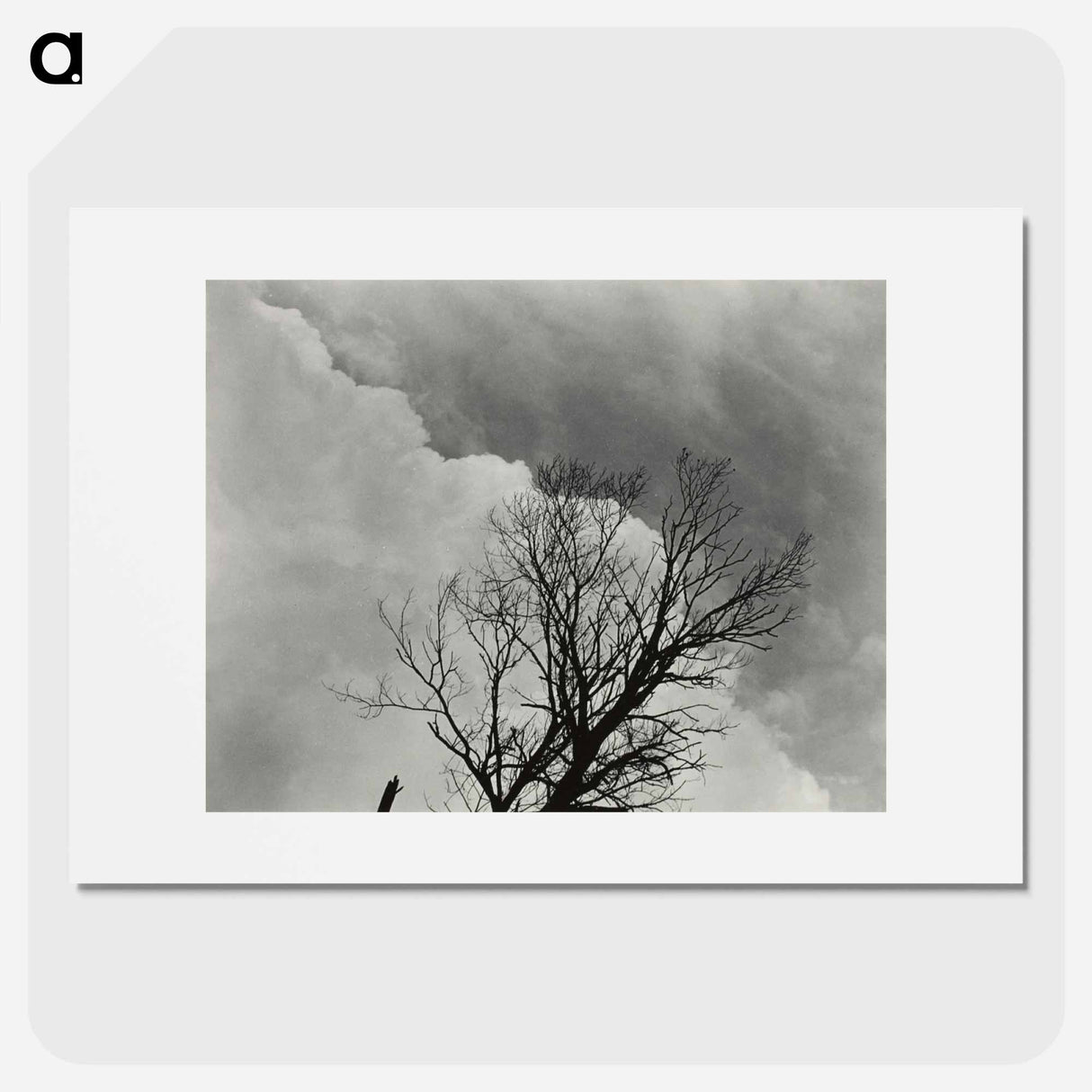 Tree Set 3 - アルフレッド スティーグリッツ Poster.