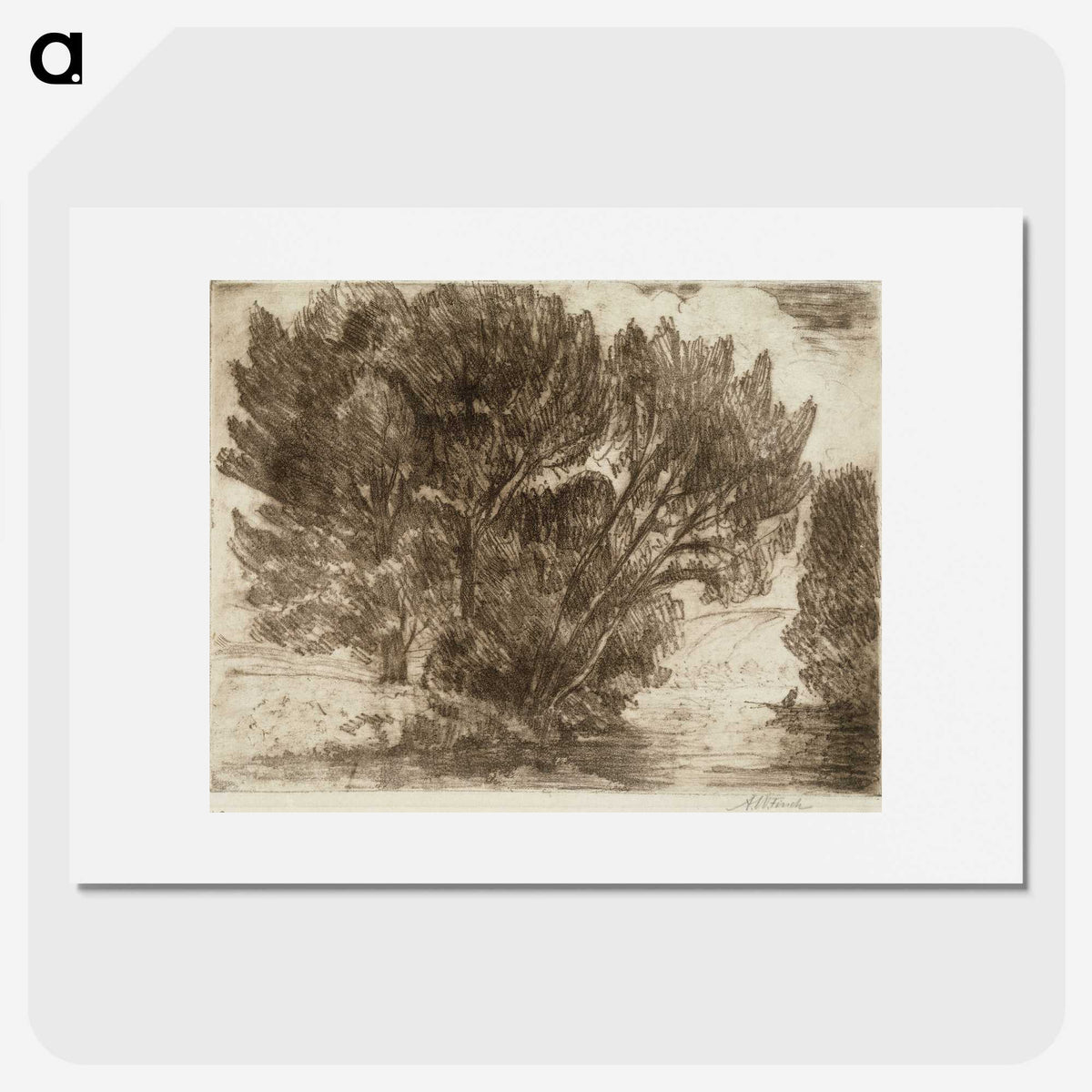 1-57_Alfred-William-Finch_picture