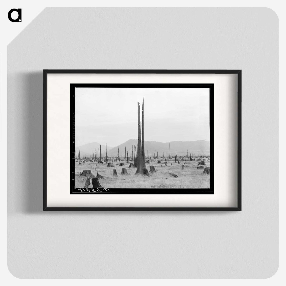 1-57_Dorothea-Lange_blk