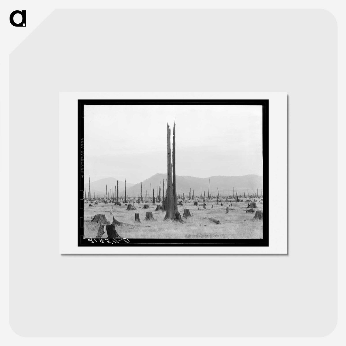 1-57_Dorothea-Lange_hagaki