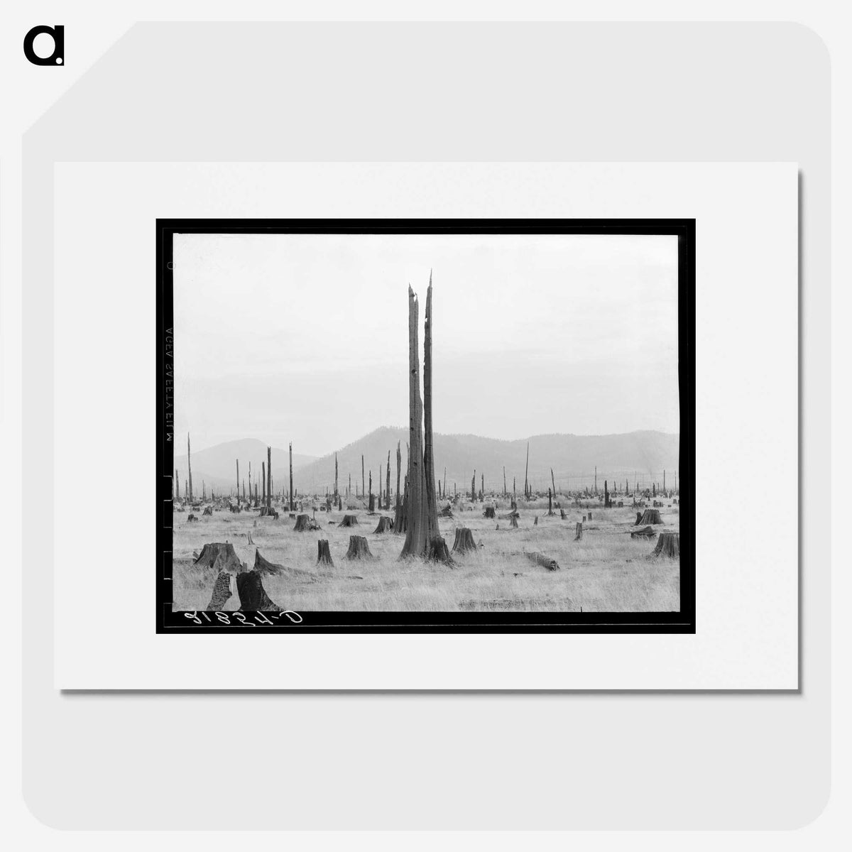 1-57_Dorothea-Lange_picture