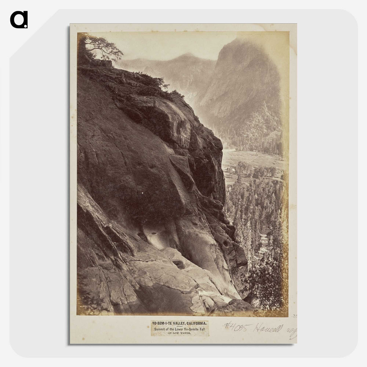 1-57_Eadweard-Muybridge_picture-crop