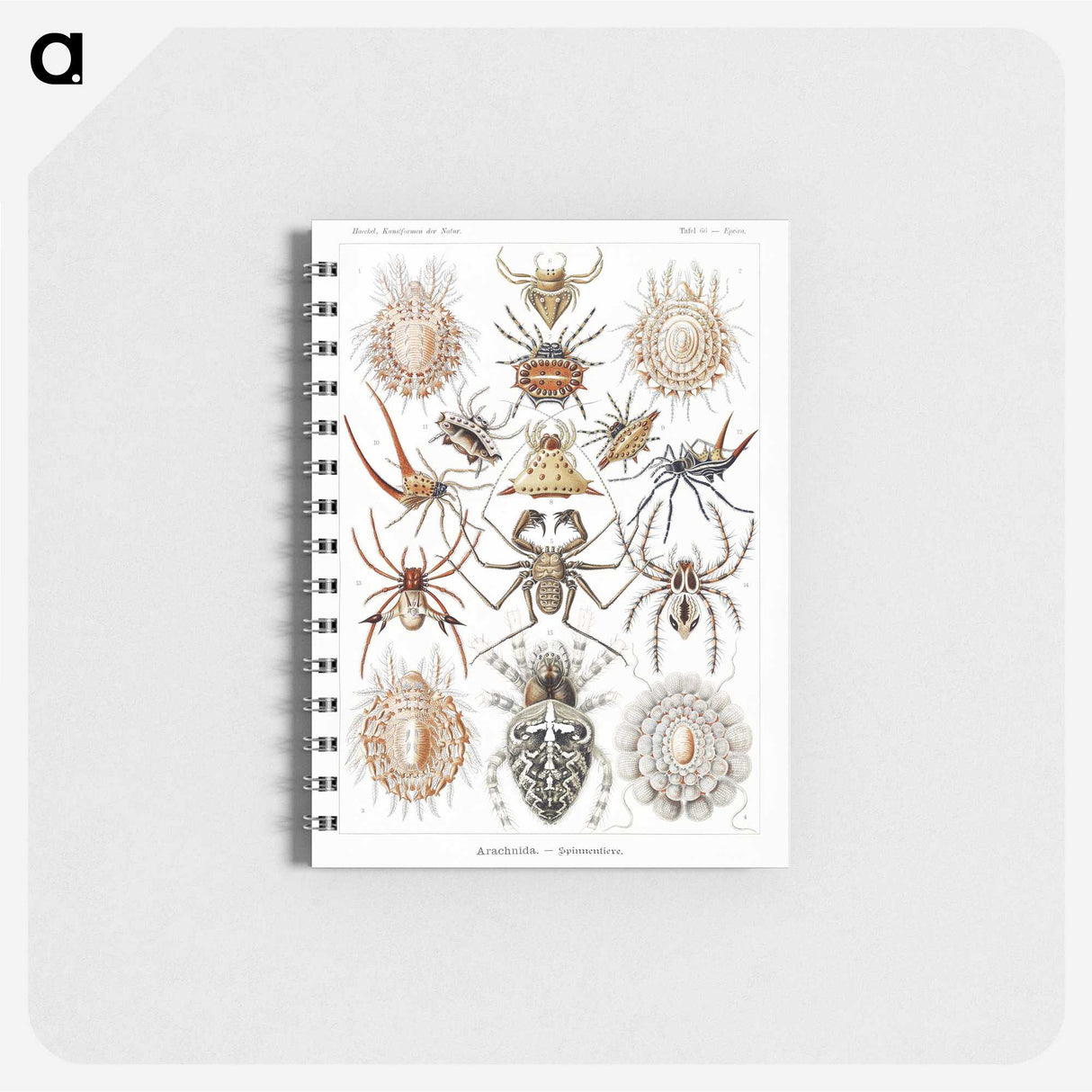 1-57_Ernst-Haeckel_memo