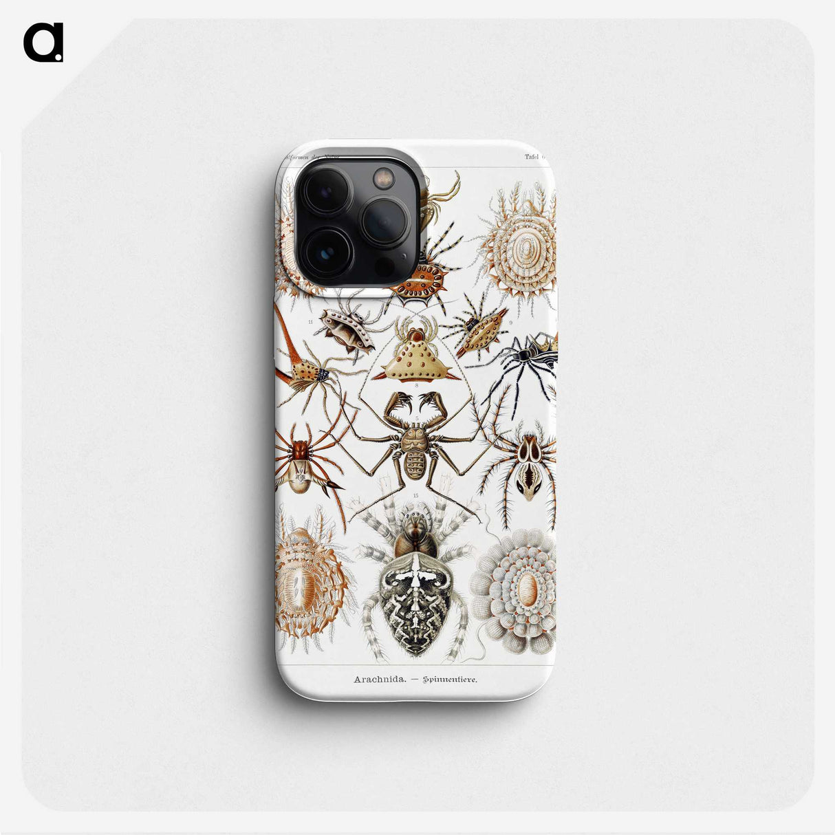 1-57_Ernst-Haeckel_phone