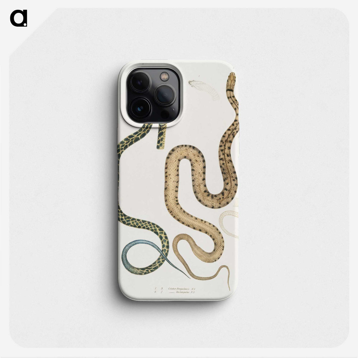 1-57_Indian-Zoology_phone