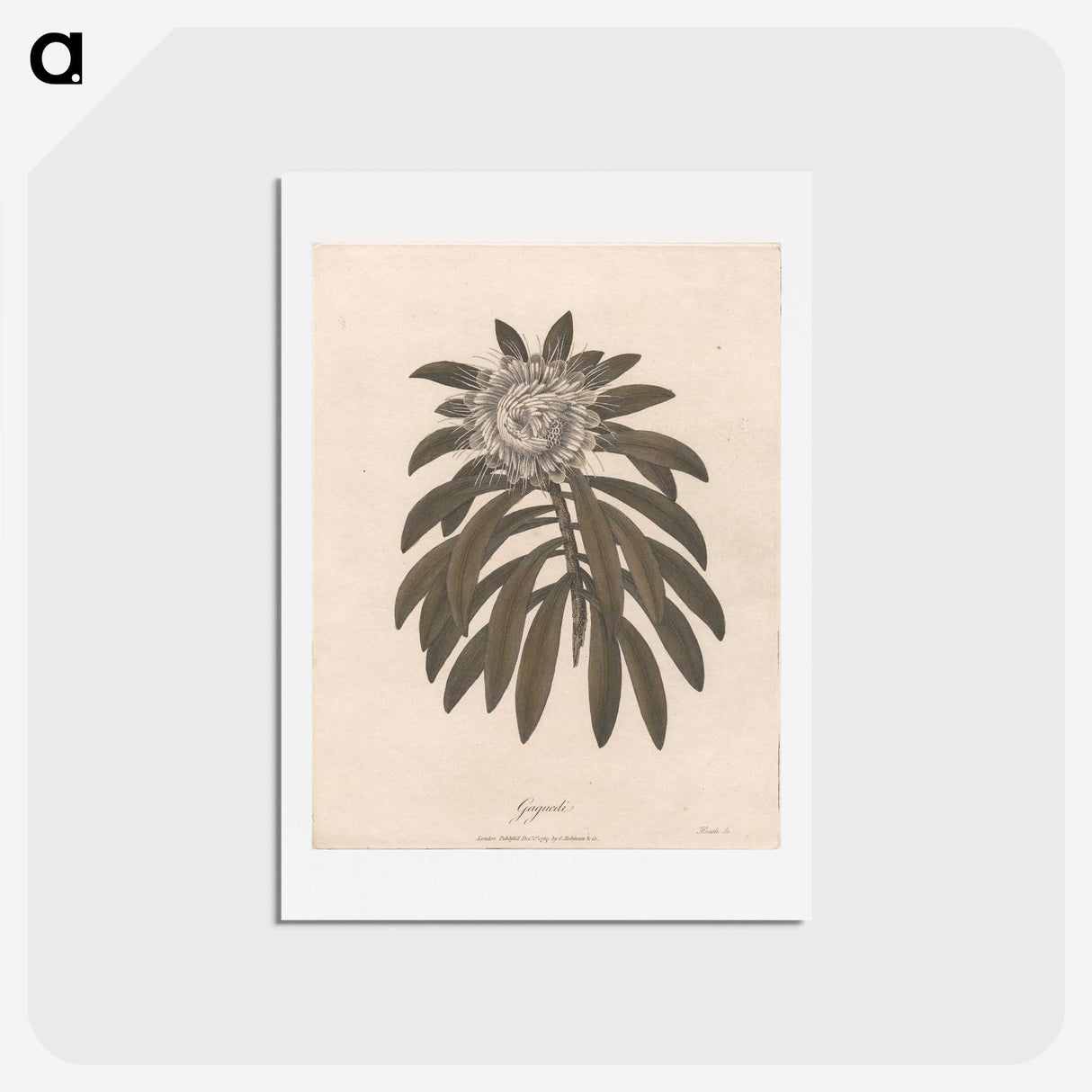 1-57_James-Heath_hagaki