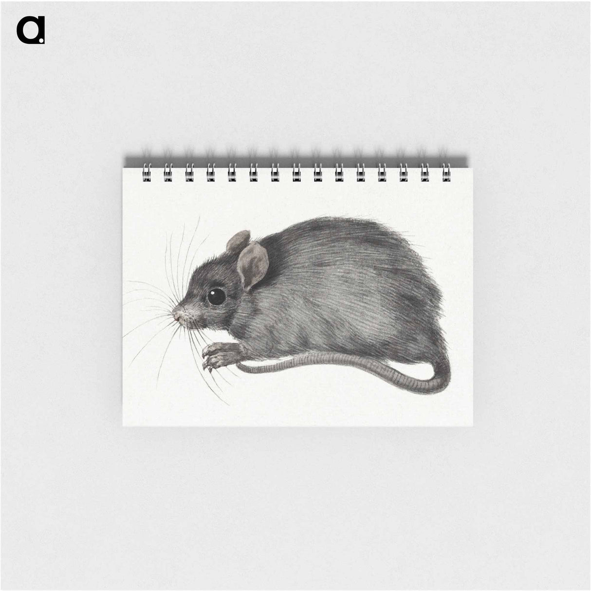 Mouse - ジャン ベルナール Memo.