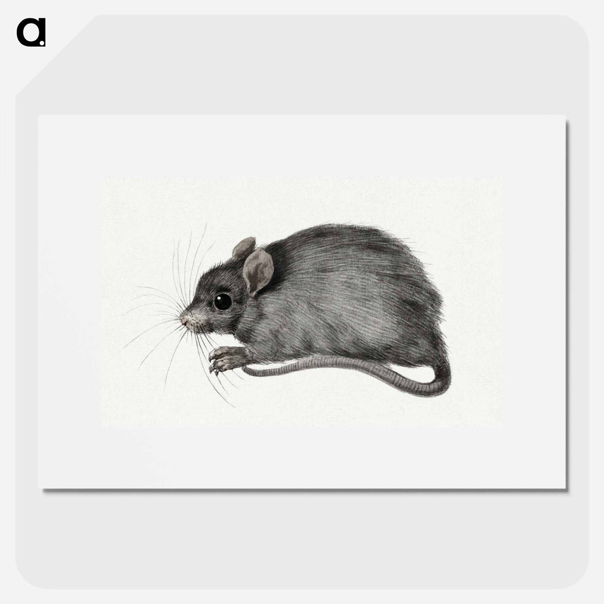 Mouse - ジャン ベルナール Poster.