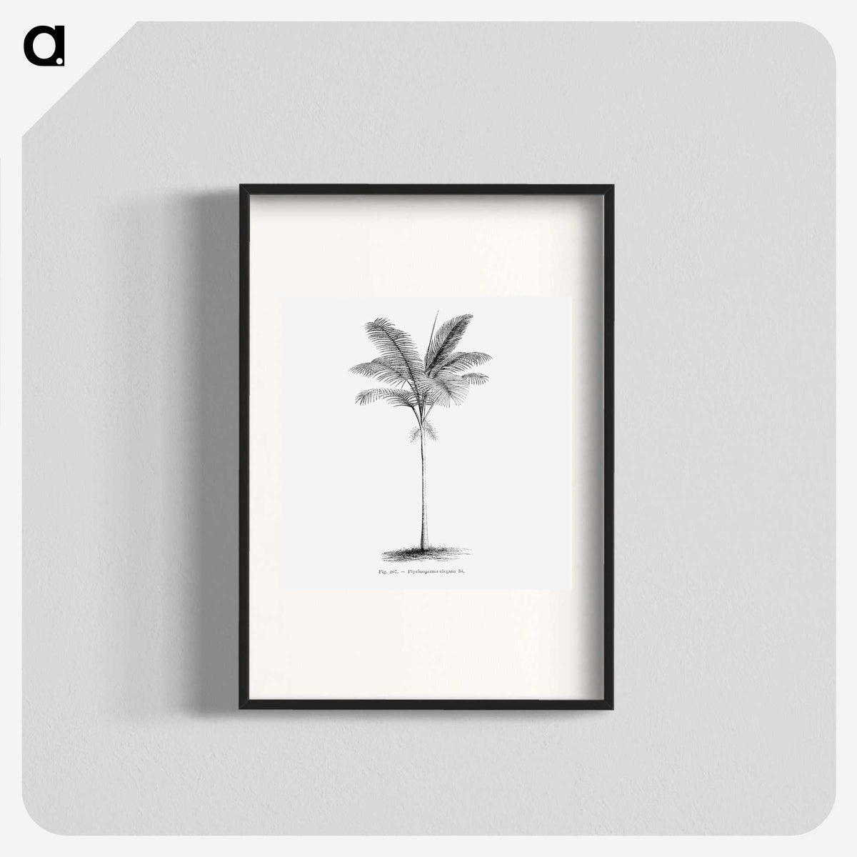 1-57_Les-Palmiers-Histoire-Iconographique_blk