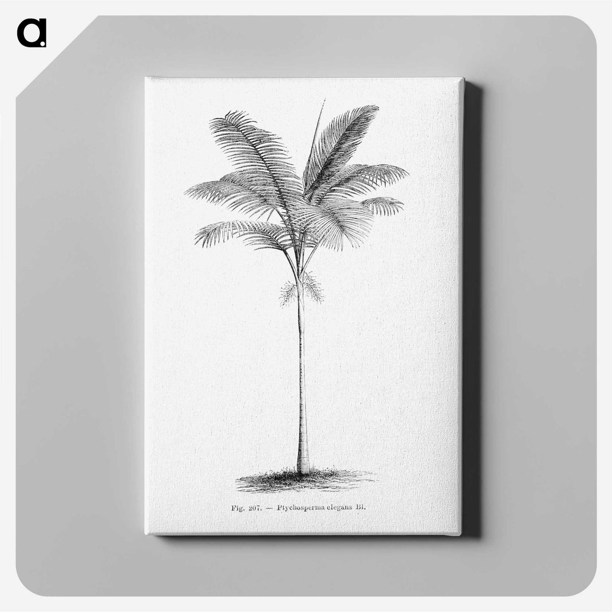 1-57_Les-Palmiers-Histoire-Iconographique_canvas