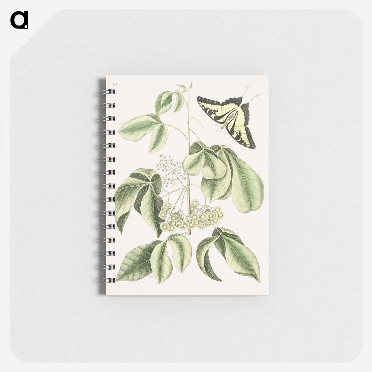 1-57_Mark-Catesby_memo