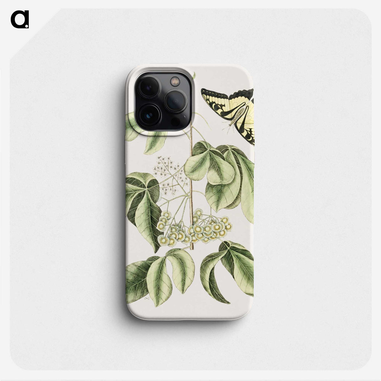 1-57_Mark-Catesby_phone