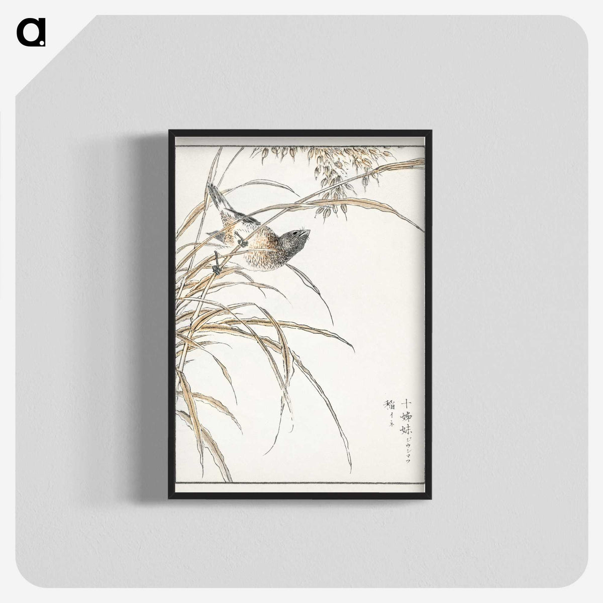 1-57_Pictorial-Monograph-of-Birds_blk-crop