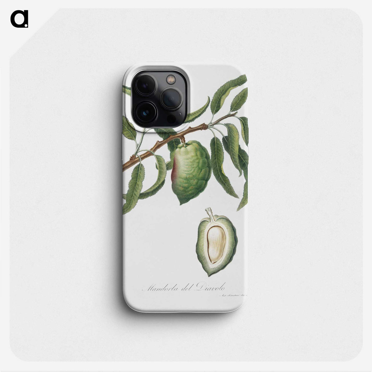 1-57_Pomona-Italiana_phone