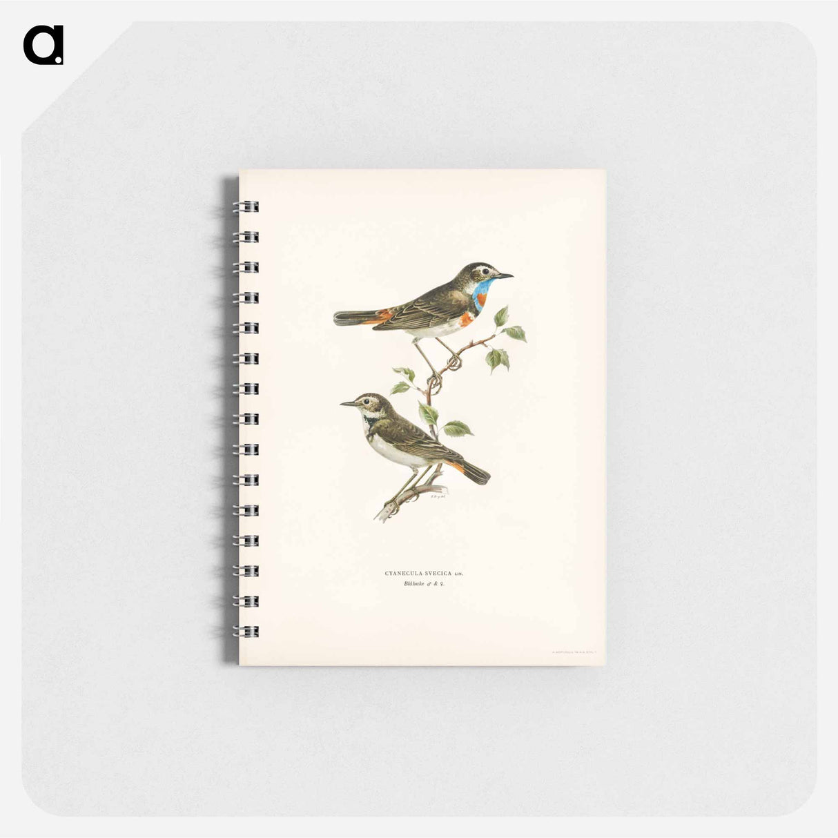 アートメモ帳-Bluethroat
- スヴェンスカ フォグラル Memo.