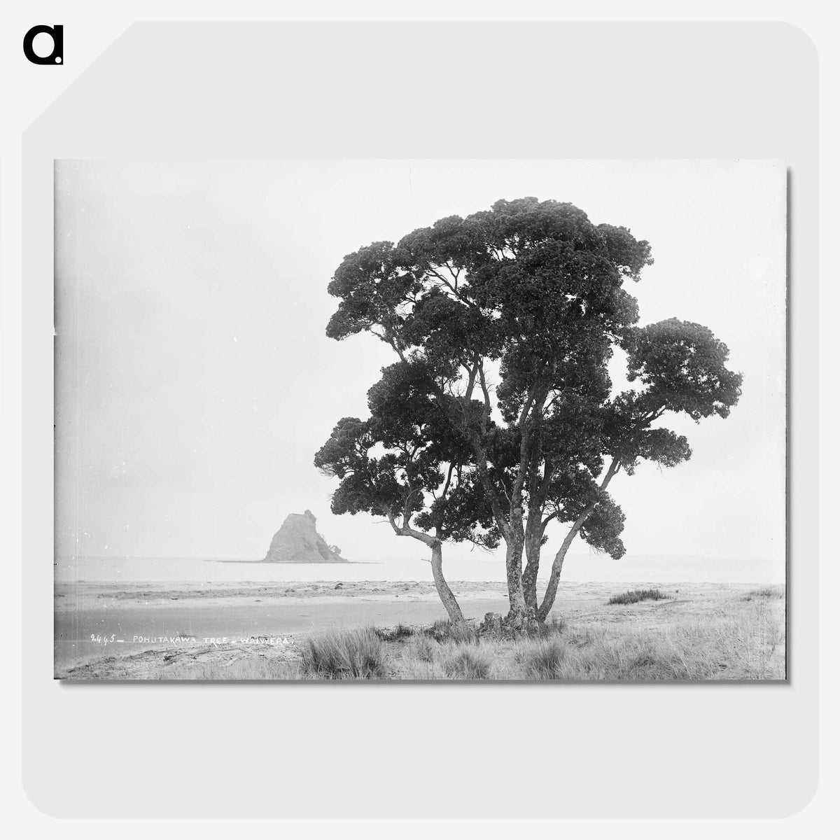 1-57_The-Burton-Brothers_picture-crop